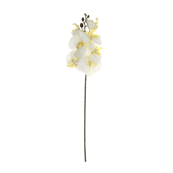 White Orchid Spray 56cm