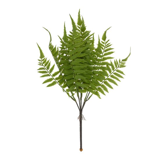 Green Sword Fern 43cm
