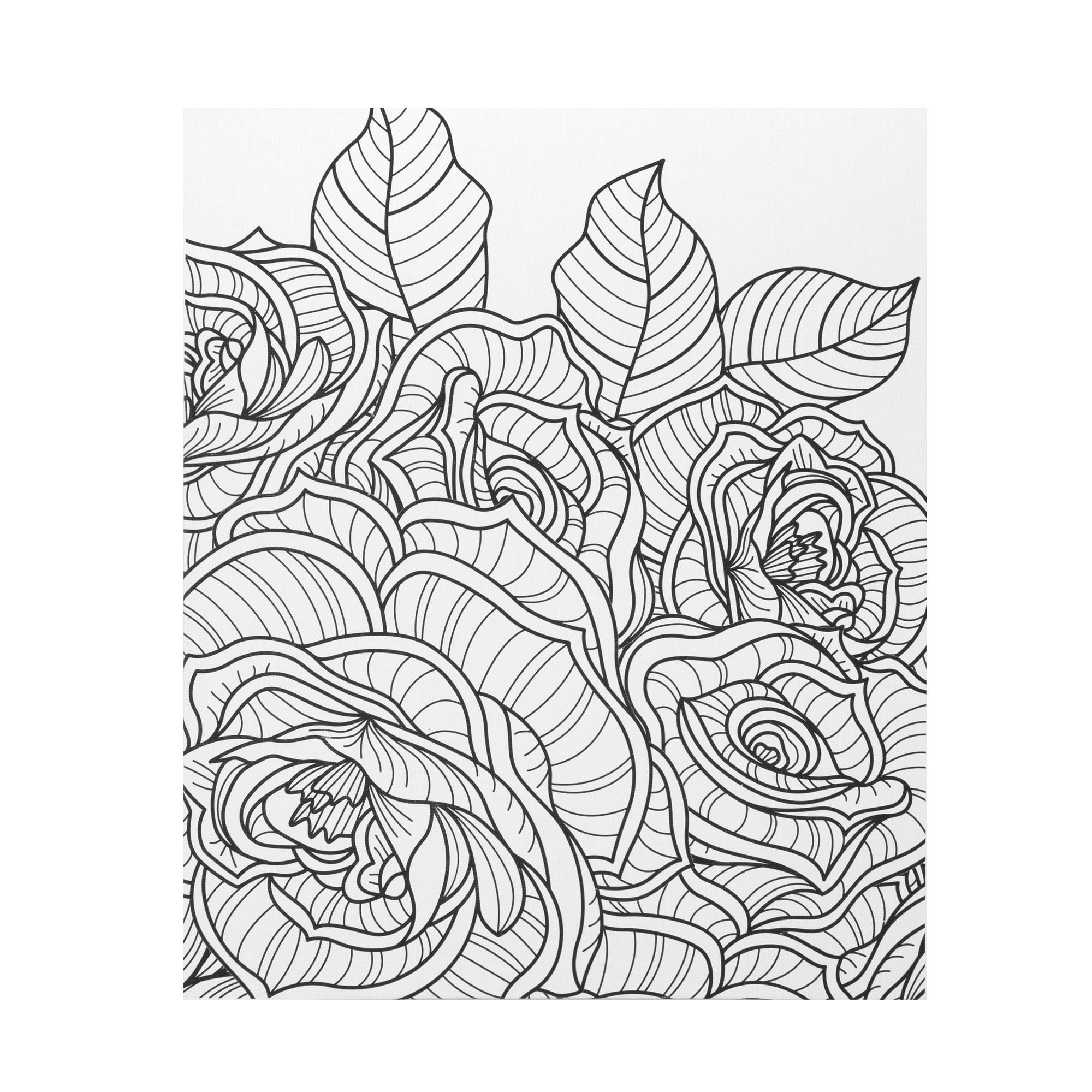 Big Flowers Colour-in Canvas