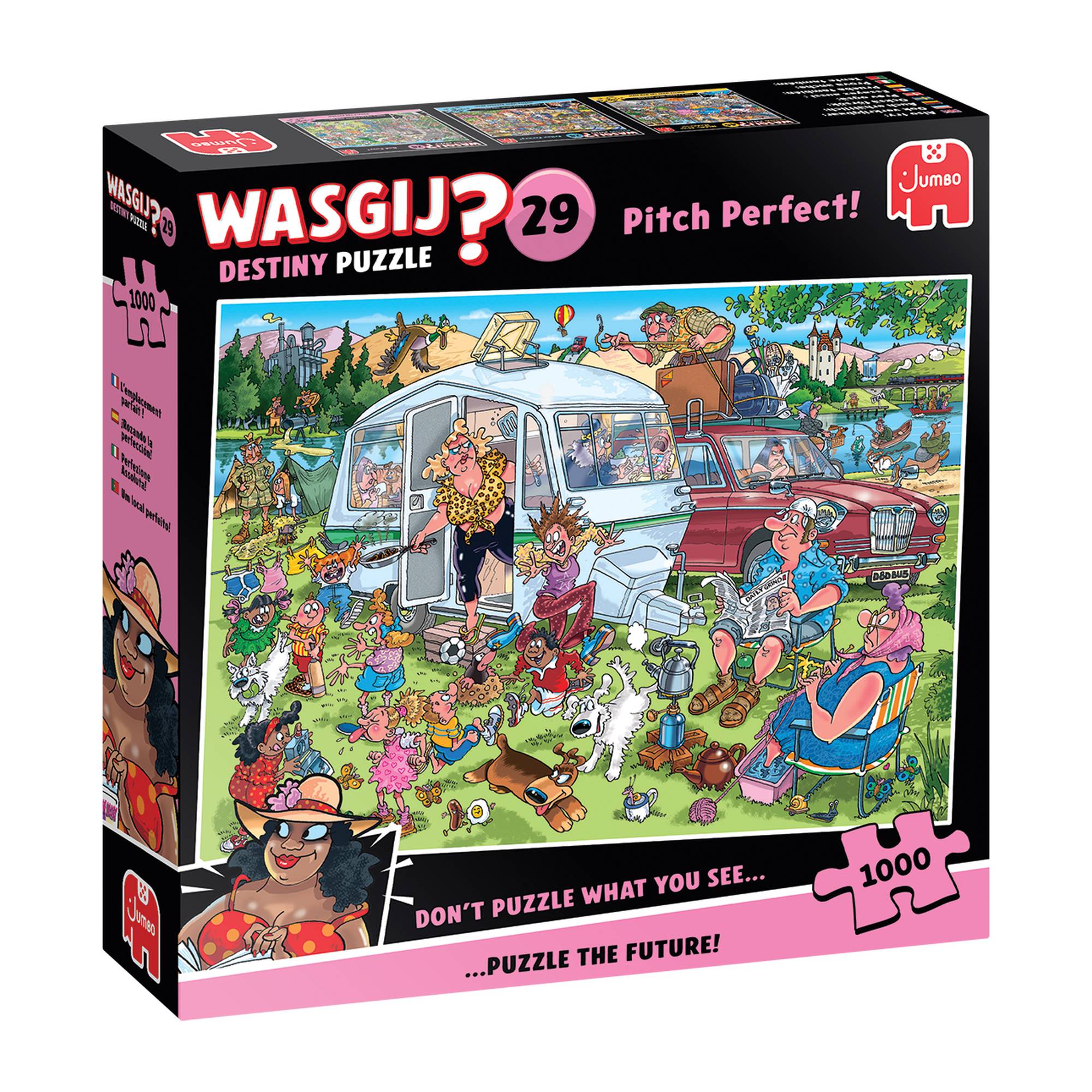 Wasgij Destiny 29 Pitch Perfect Jigsaw Puzzle 1000 Pieces