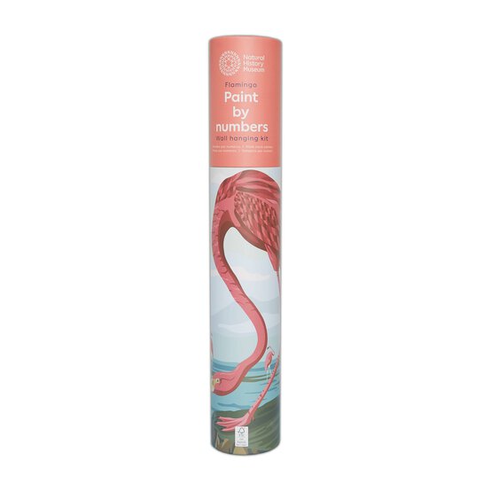 NHM Flamingo Paint by Numbers Wall Hanging Kit