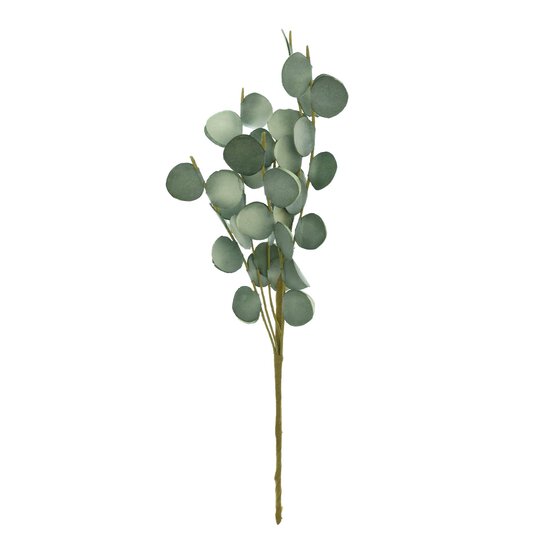 Paper Eucalyptus Pick 30cm
