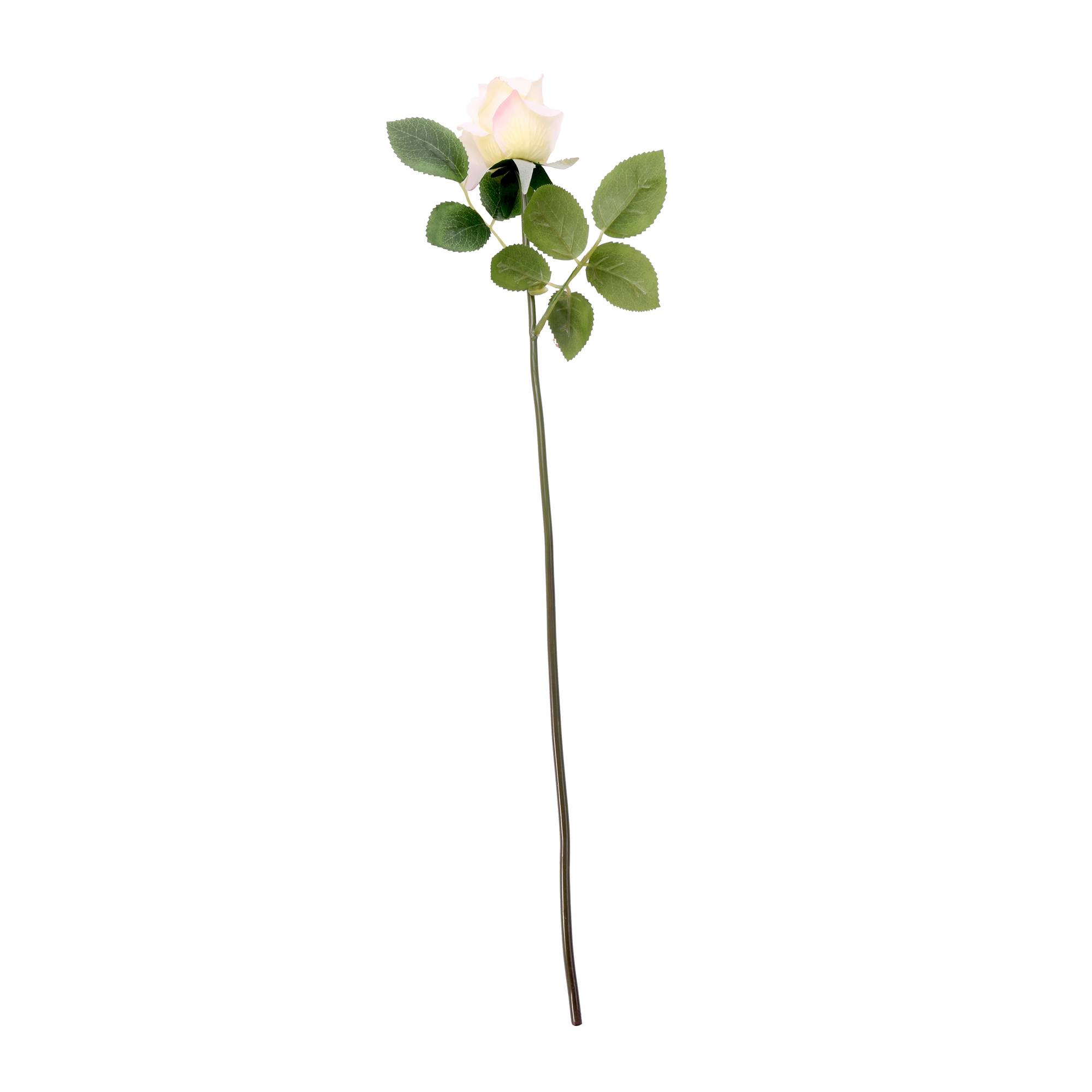Ivory Arundel Rose Bud 55cm x 6cm