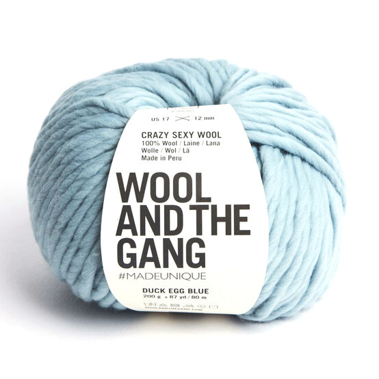 Wool and the Gang Duck Egg Blue Crazy Sexy Wool 200g