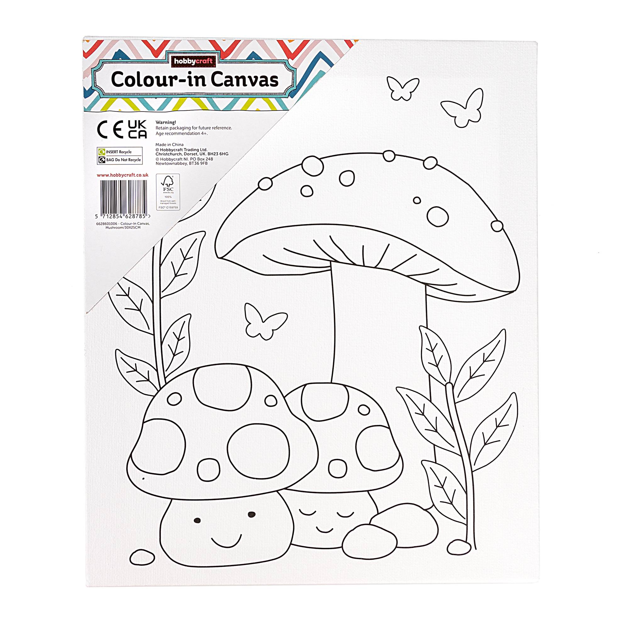 Mushroom Colour-in Canvas