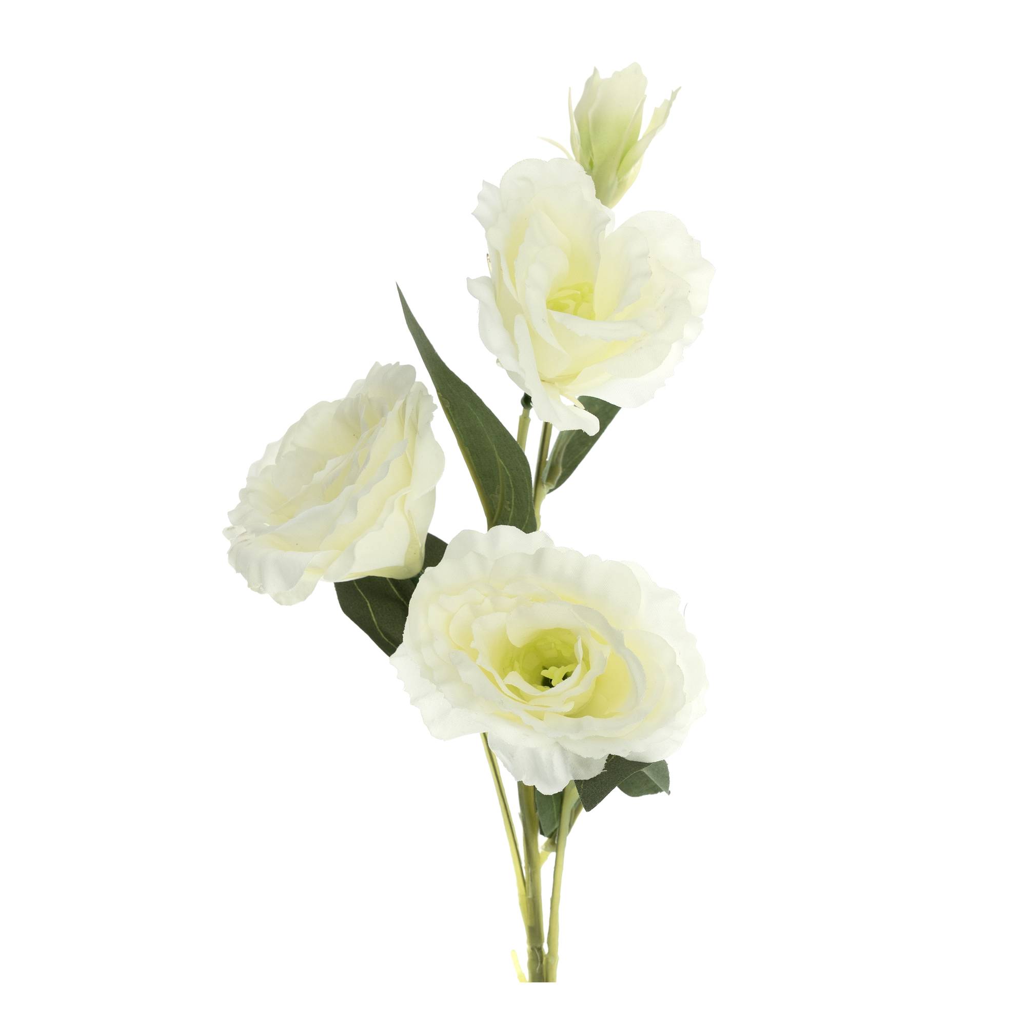 White Lisianthus Stem 70cm