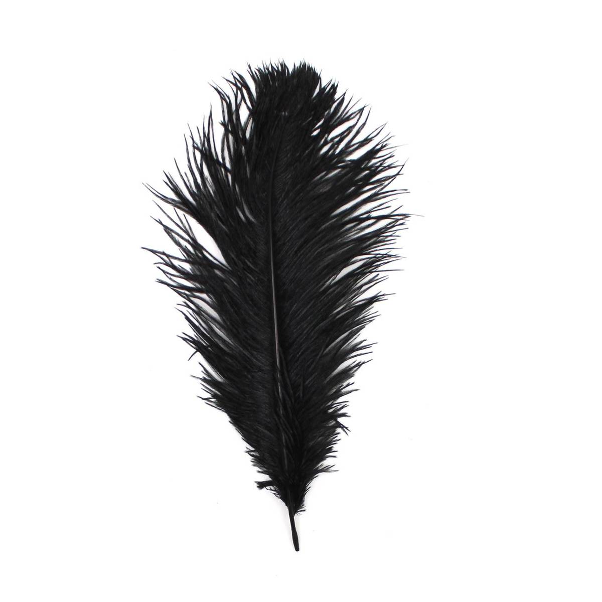 Black Ostrich Feather 30cm