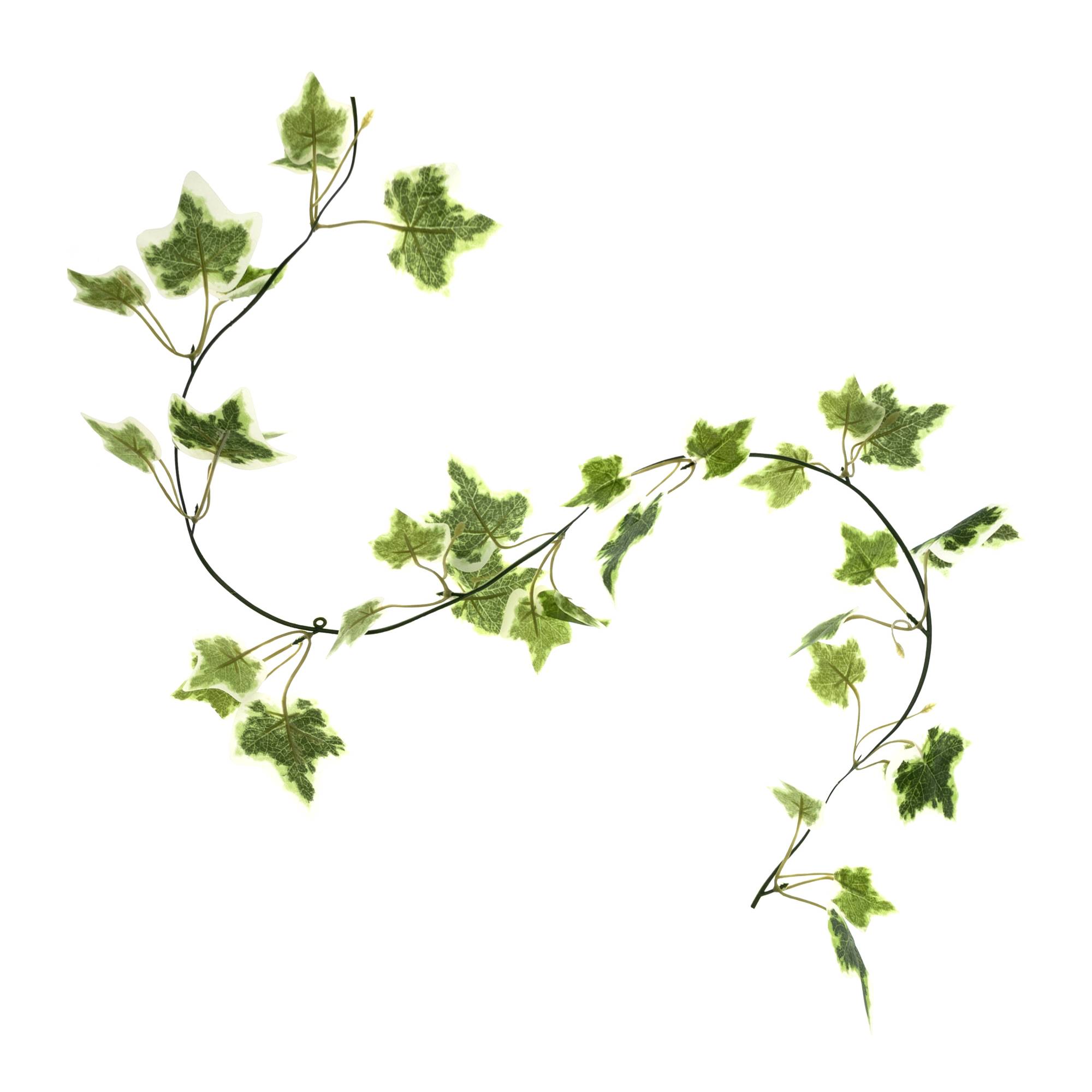 Holland Ivy Garland 2.9m
