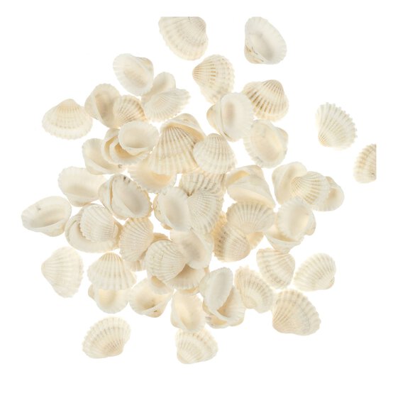 Mixed Bag of Cup Shells 250g