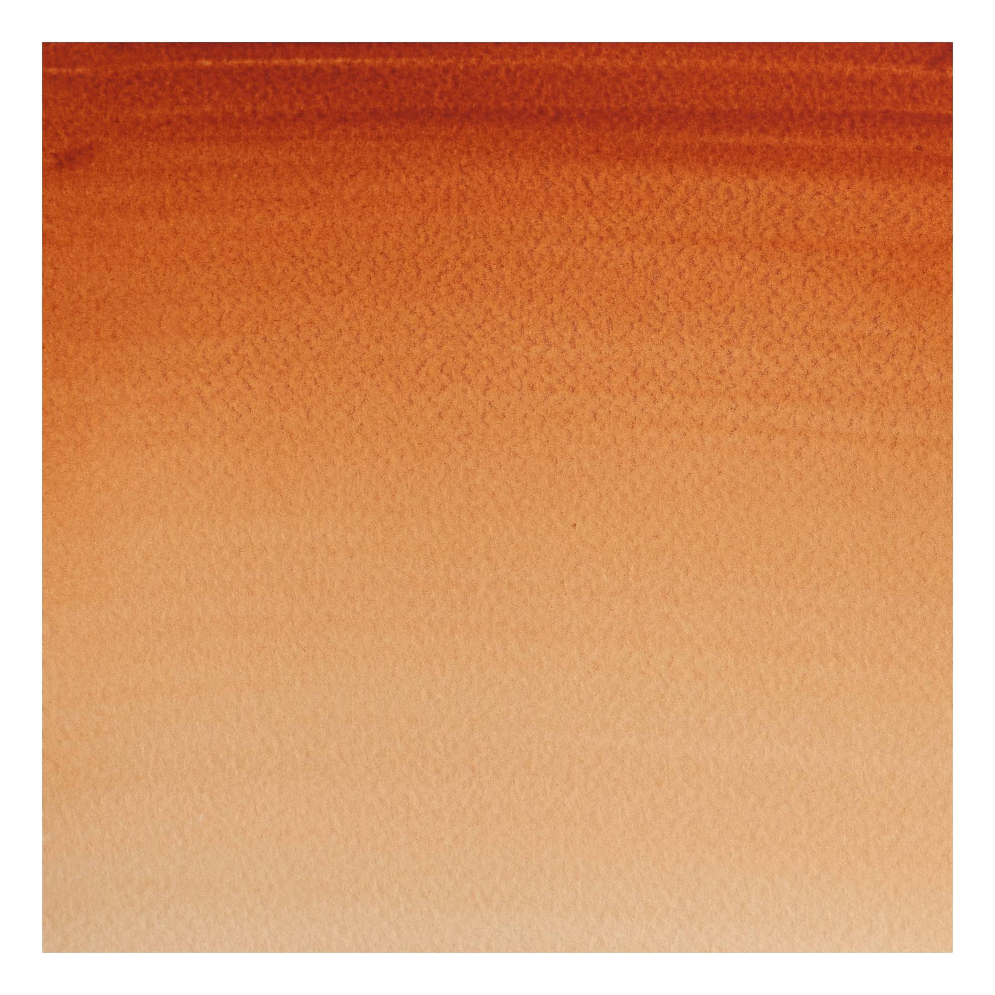 Winsor & Newton Burnt Sienna Cotman Watercolour Half Pan