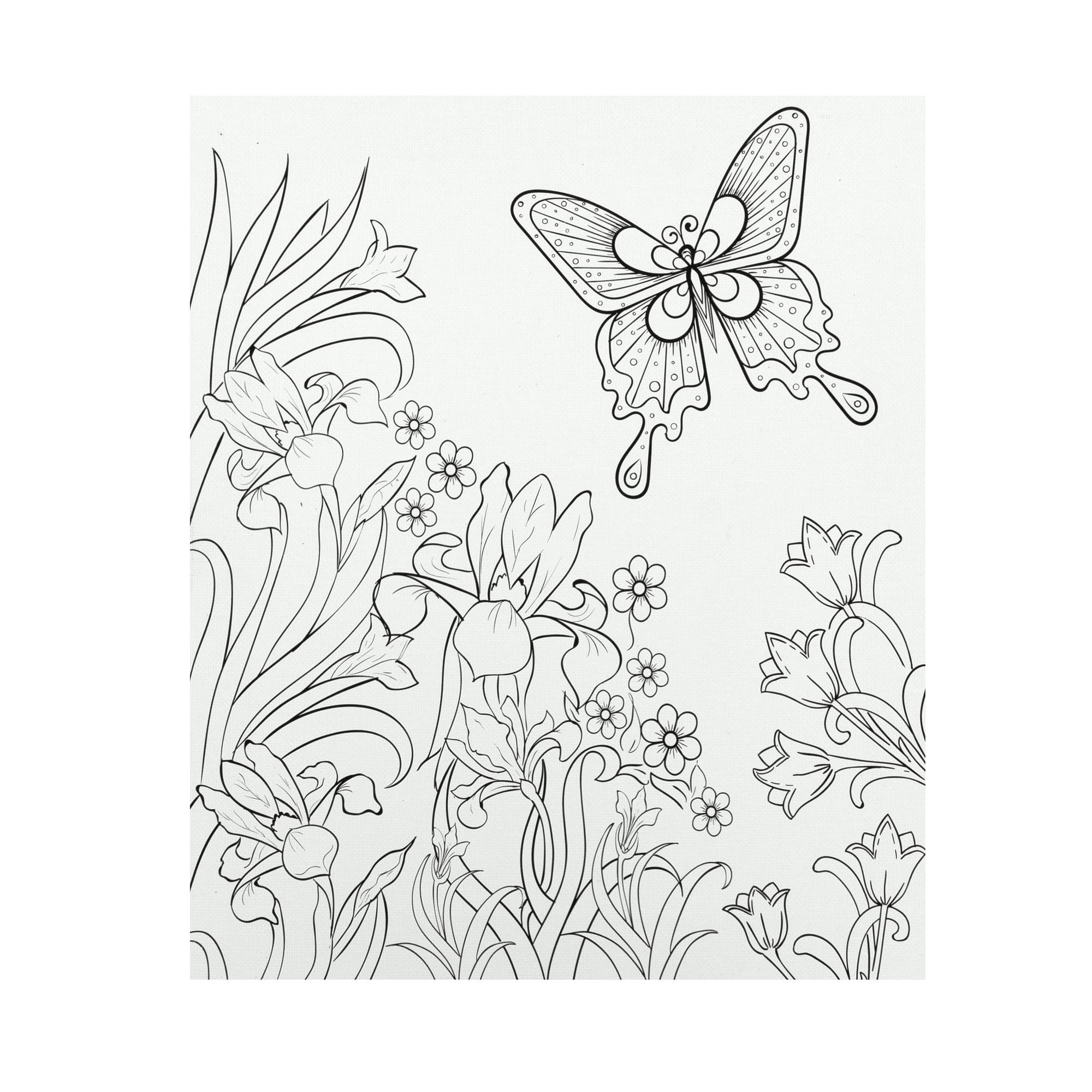 Butterfly Colour-in Canvas