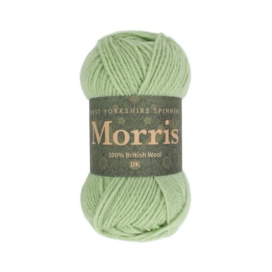 West Yorkshire Spinners Sage Morris DK 50g