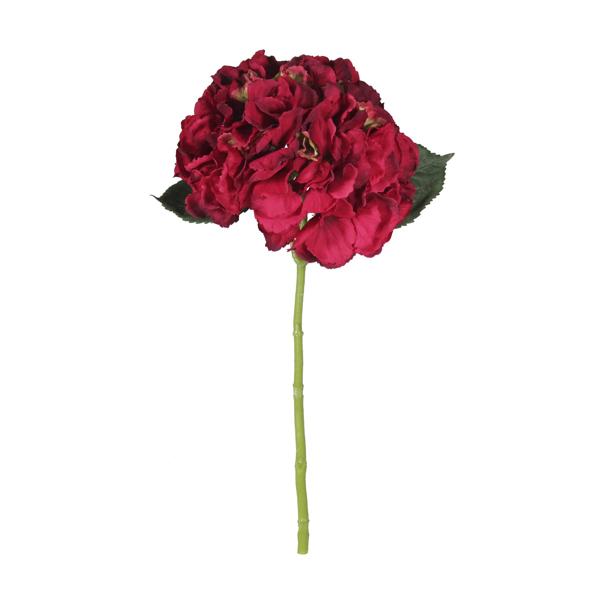 Burgundy Short Stem Hydrangea 40cm x 17cm