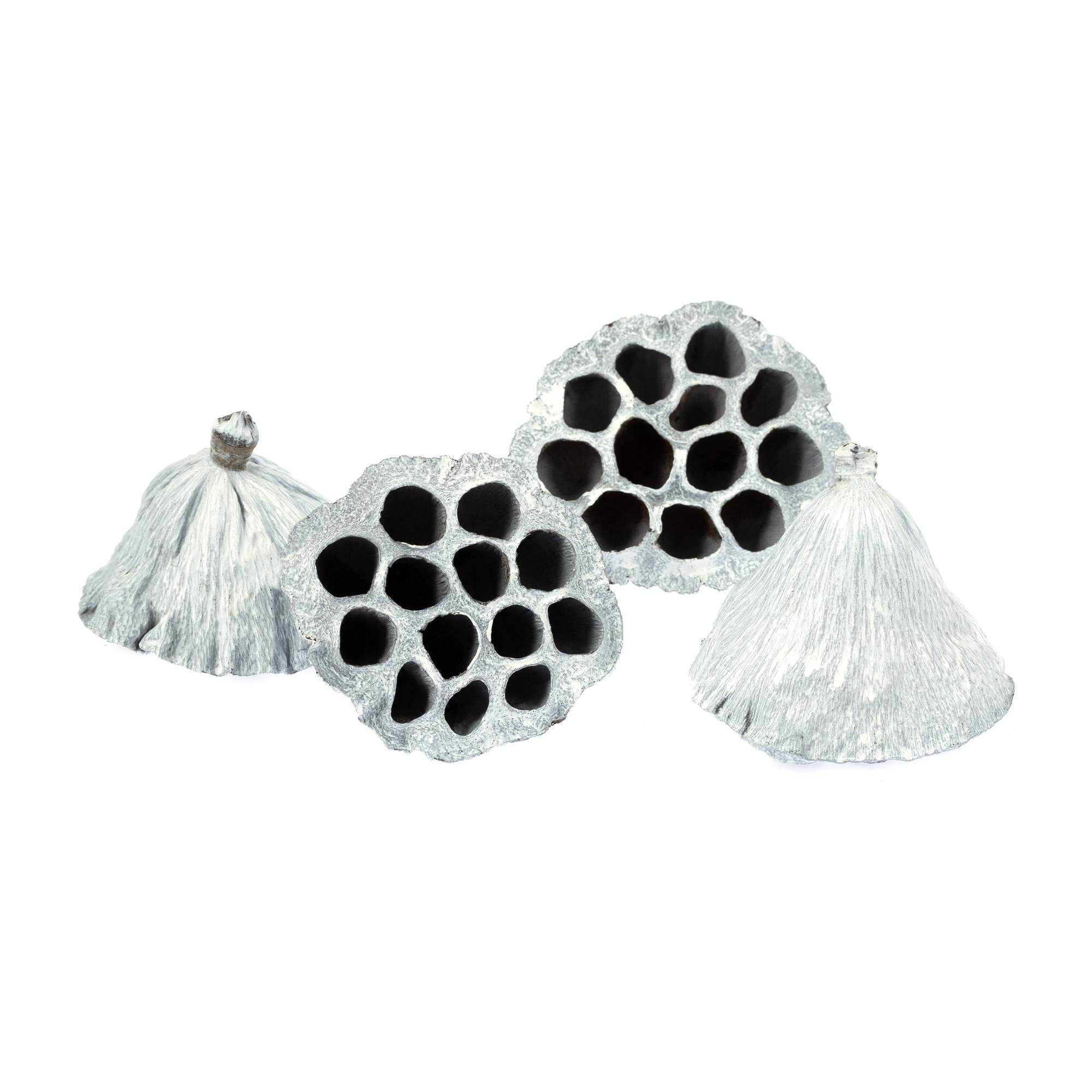 White Lotus 4 Pieces