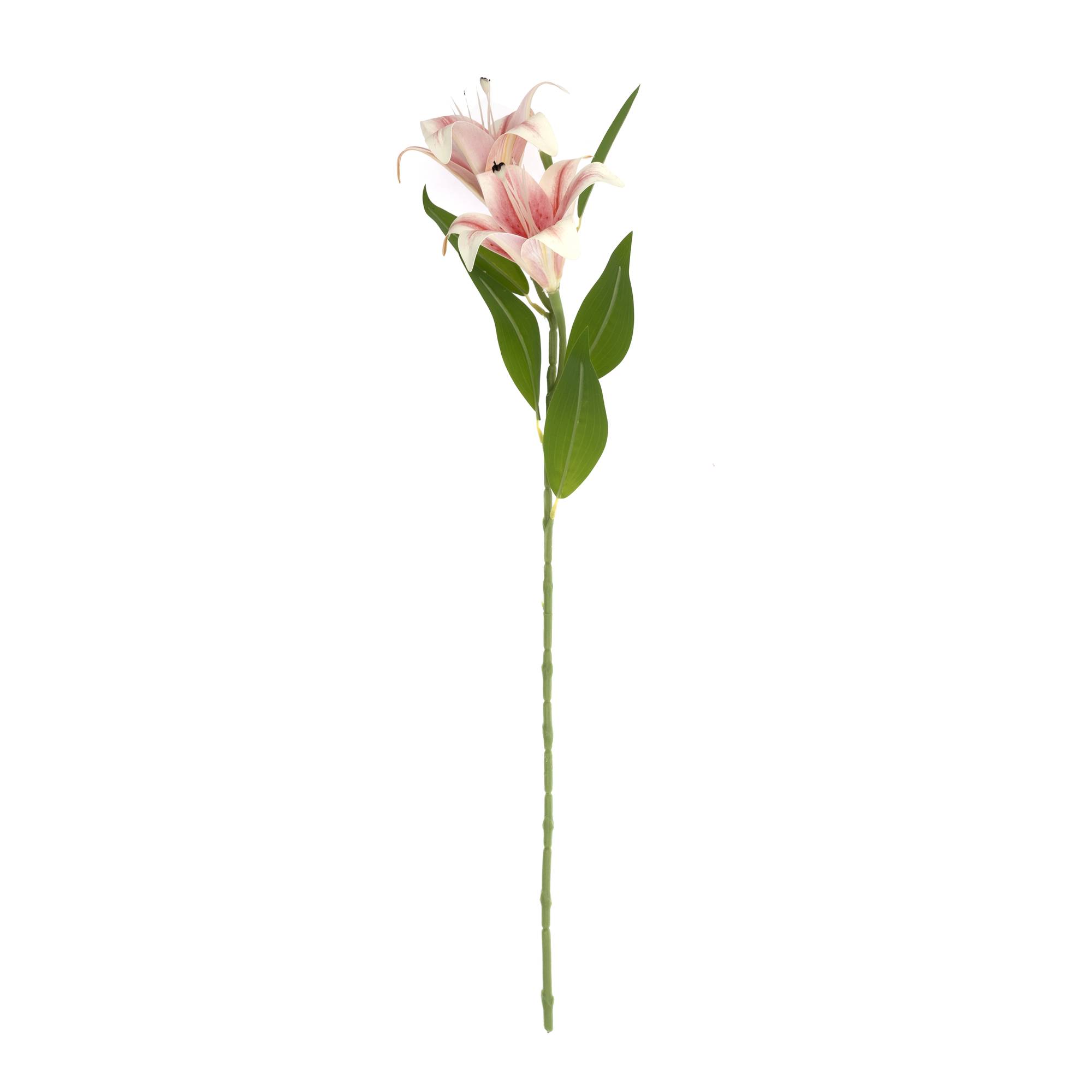 White and Pink Lily Spray 70cm