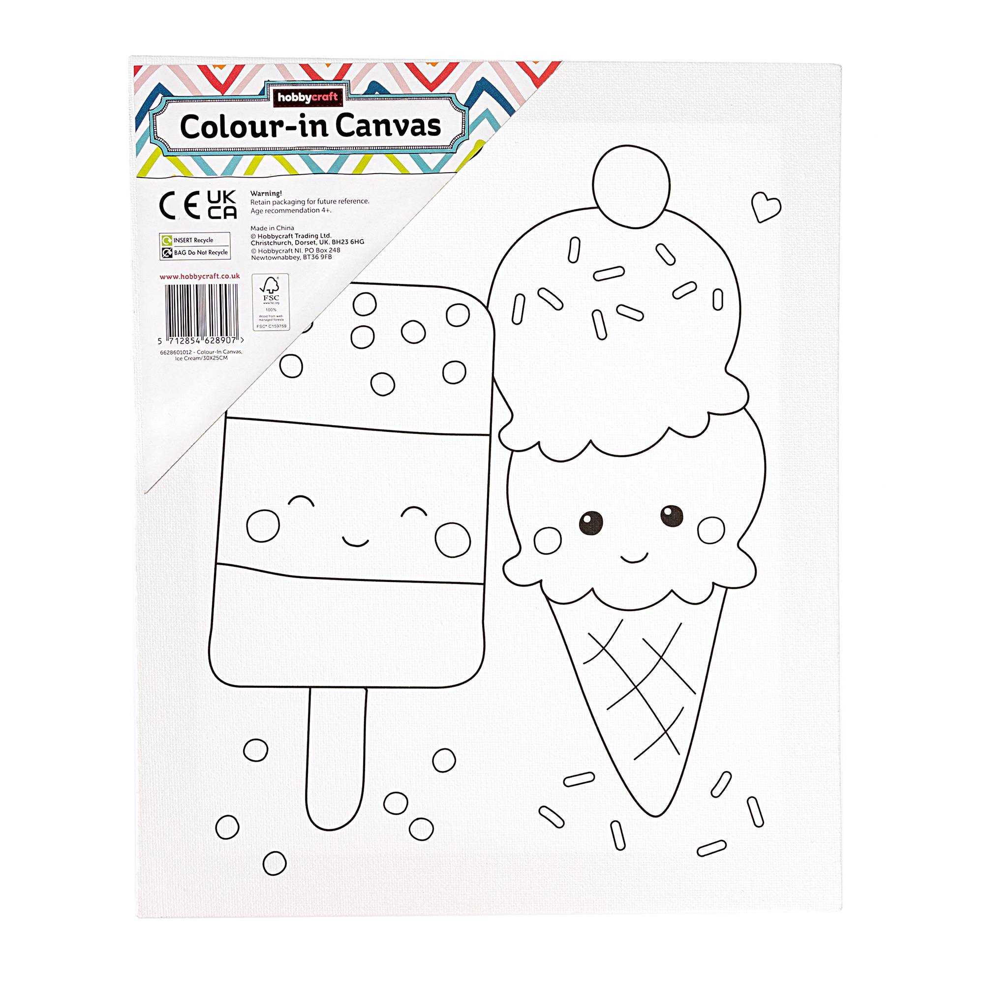Ice Cream Colour-in Canvas
