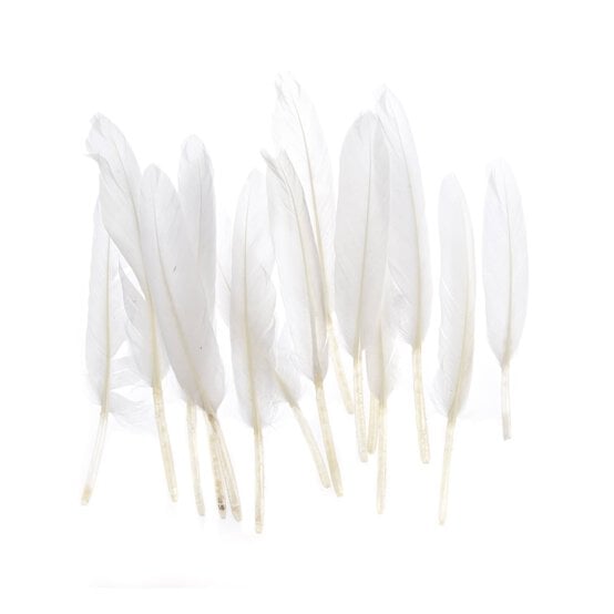 White Quill Feathers 15 Pack