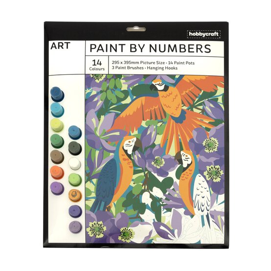 Exotic Birds Paint by Numbers