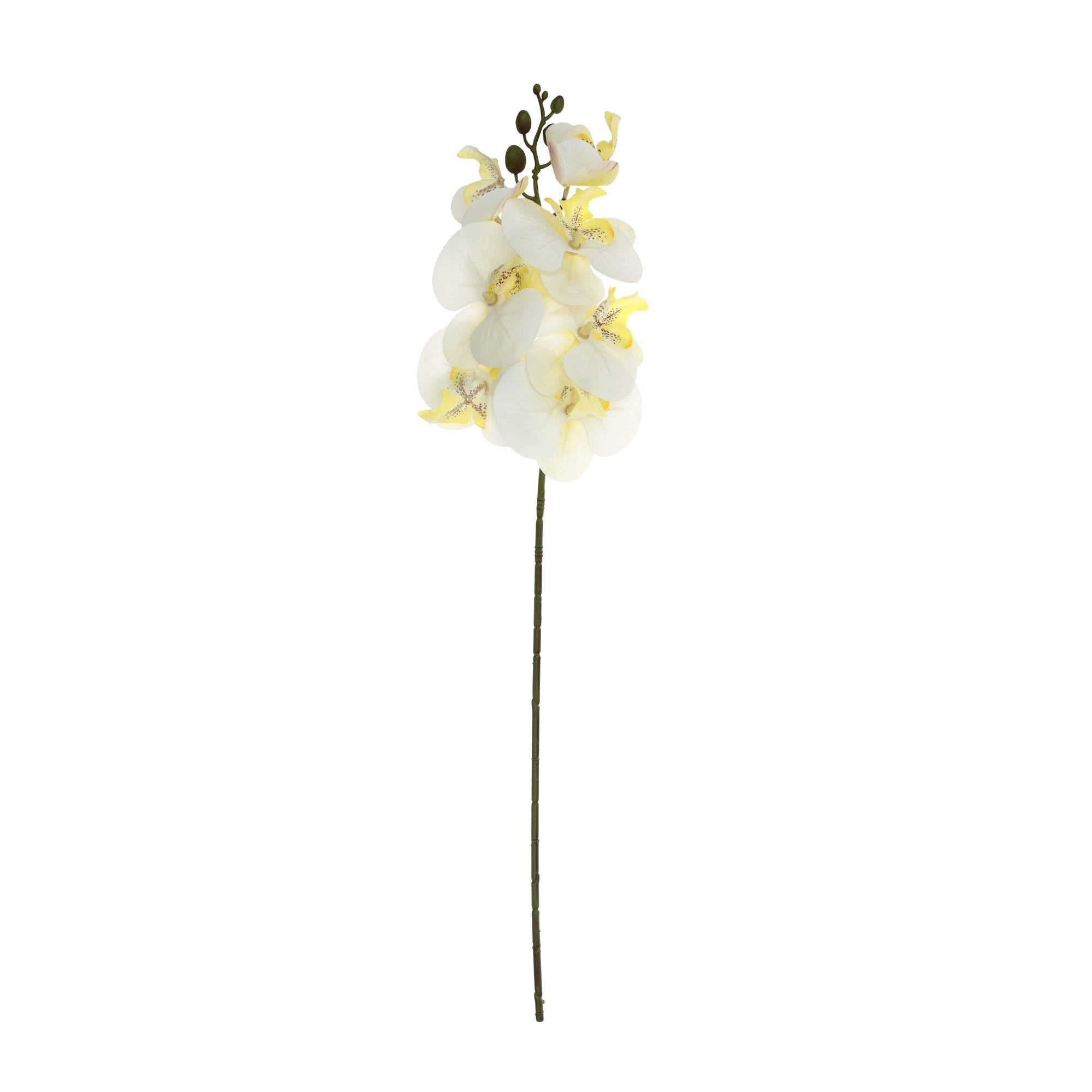 White Orchid Spray 56cm