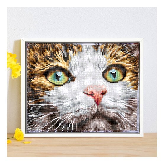 Diamond Dotz Green Eyed Beauty?Kit 29cm x 23cm