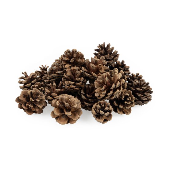 Pinecones 200g
