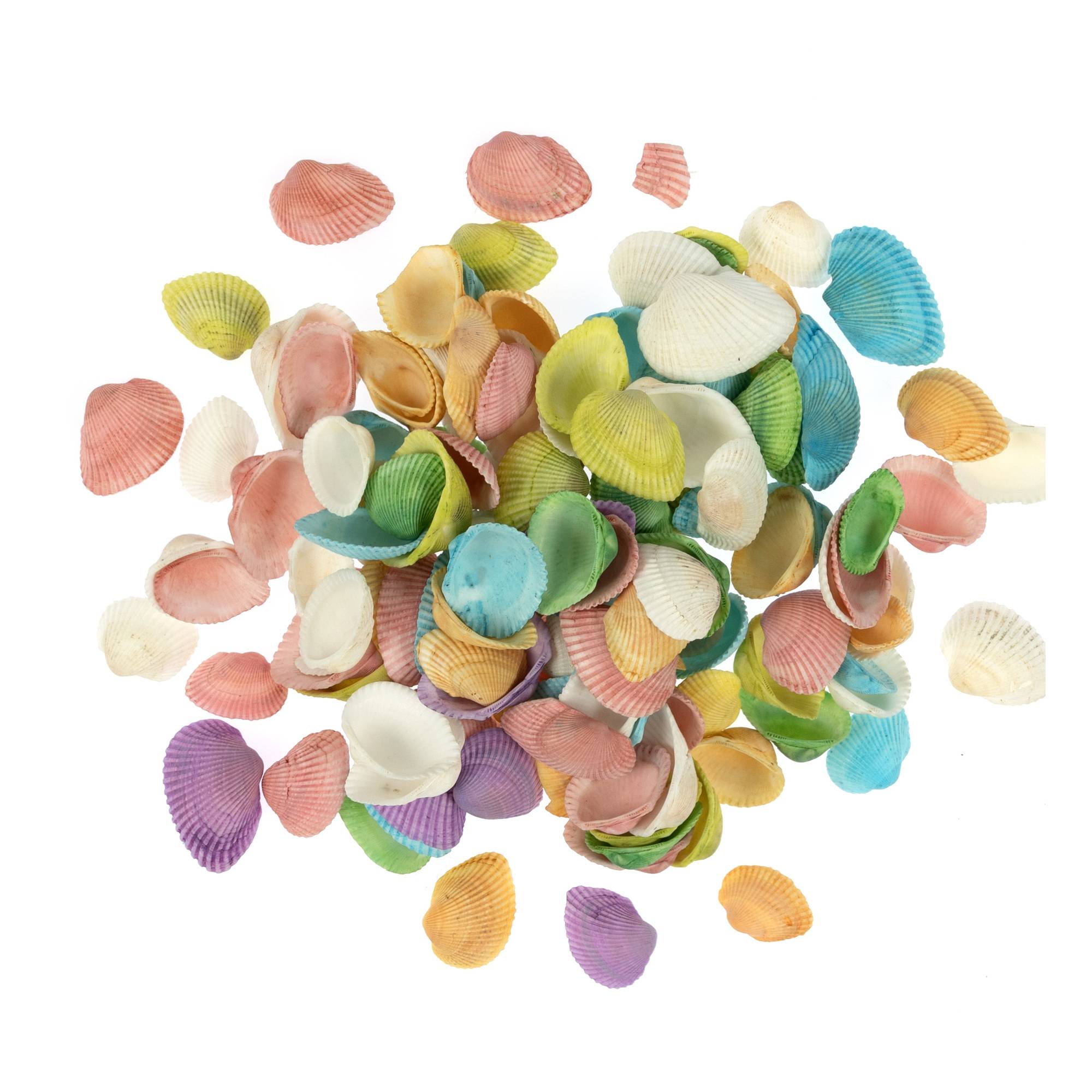 Mixed Bag of Pastel Shells 250g
