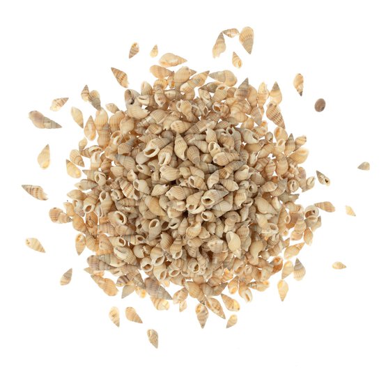 Mixed Bag of Natural Shells 250g