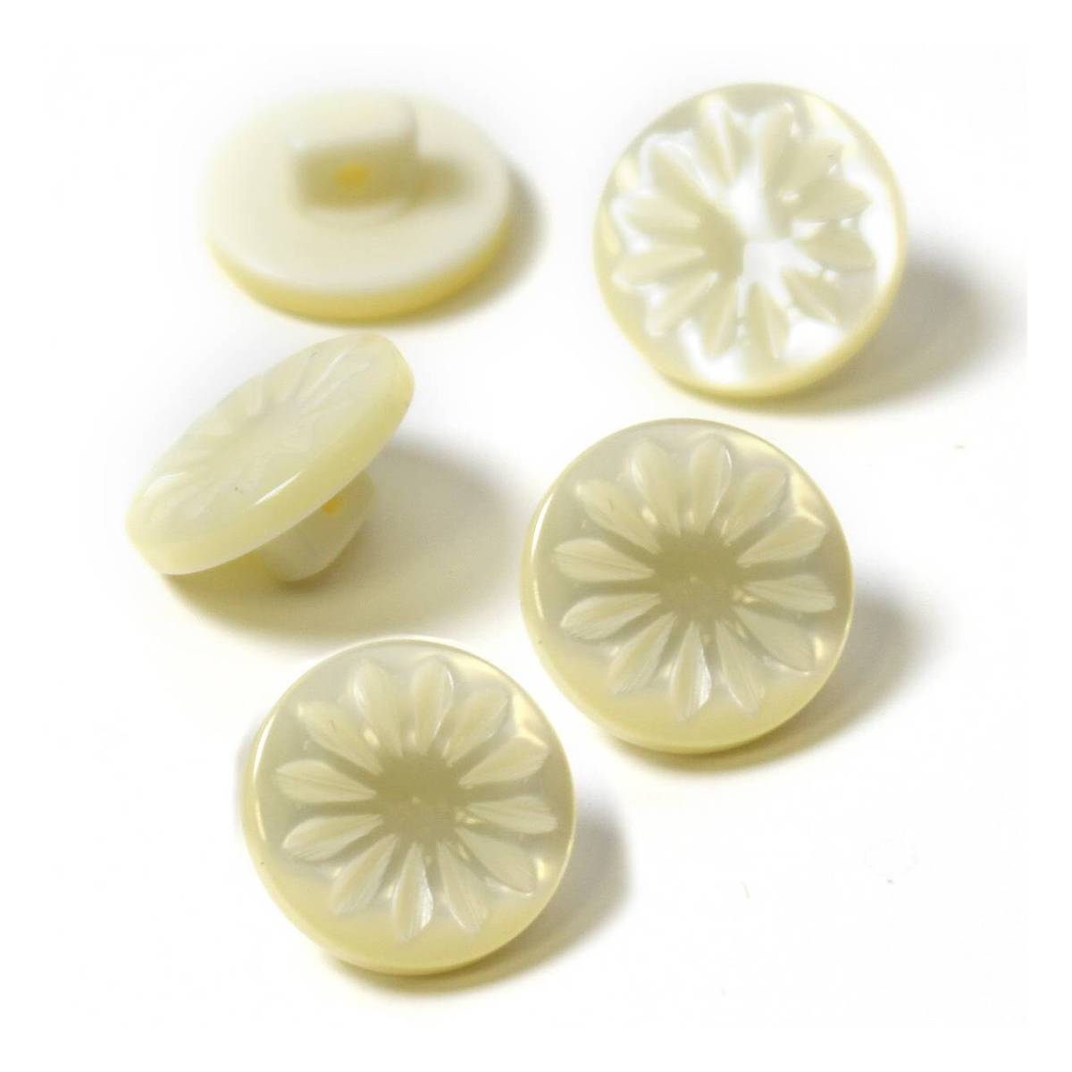 Hemline Cream Basic Cut Flower Button 5 Pack