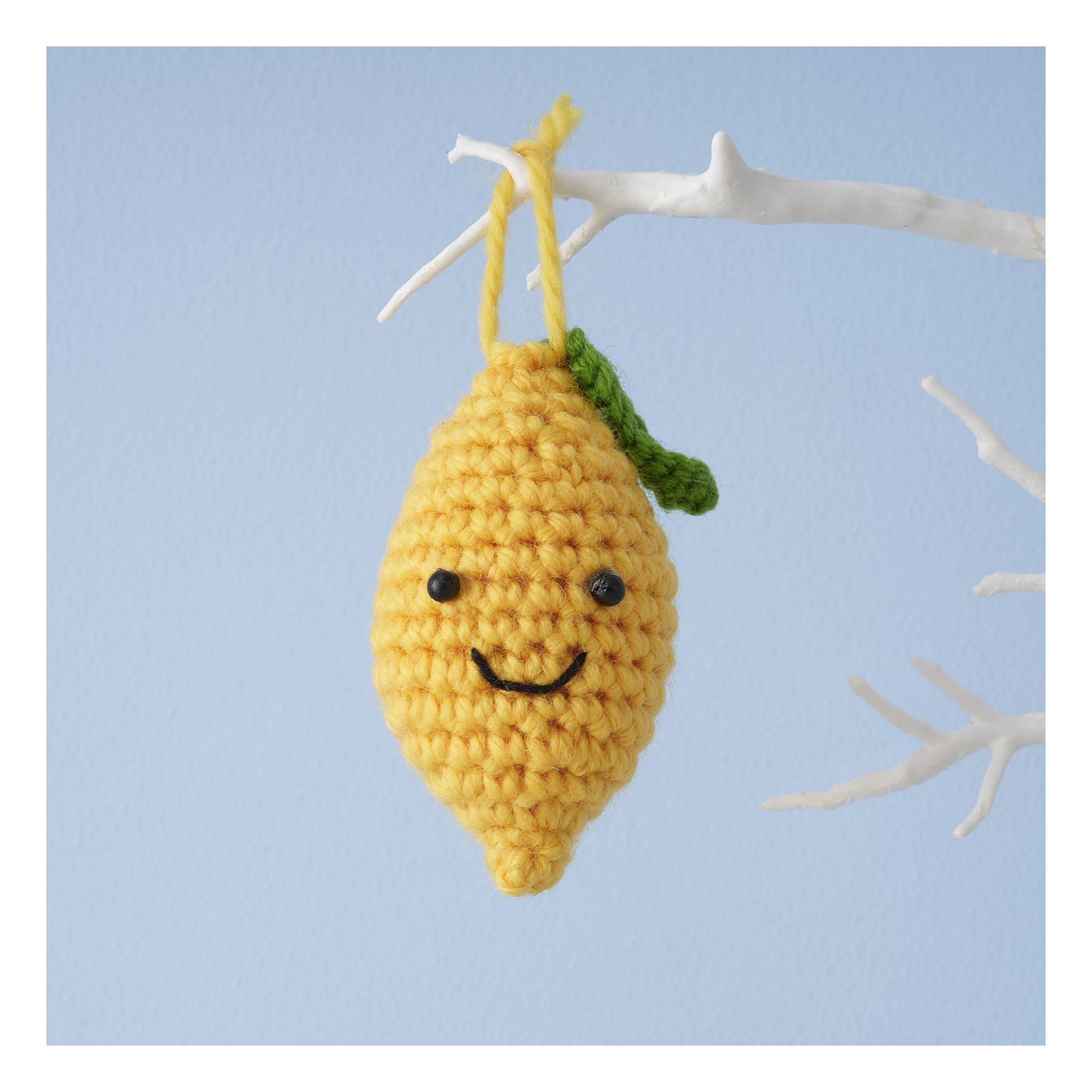 Make Your Own Crochet Lemon Kit