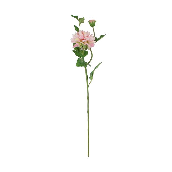Light Pink Tintagel Dahlia Spray 69cm x 15cm