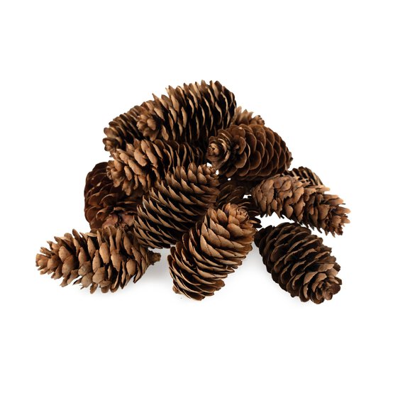 Long Pinecones 85g