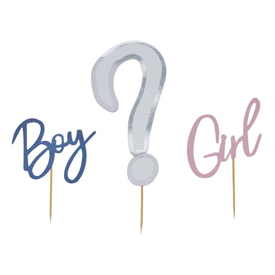 Gender Reveal Cake Topper Set