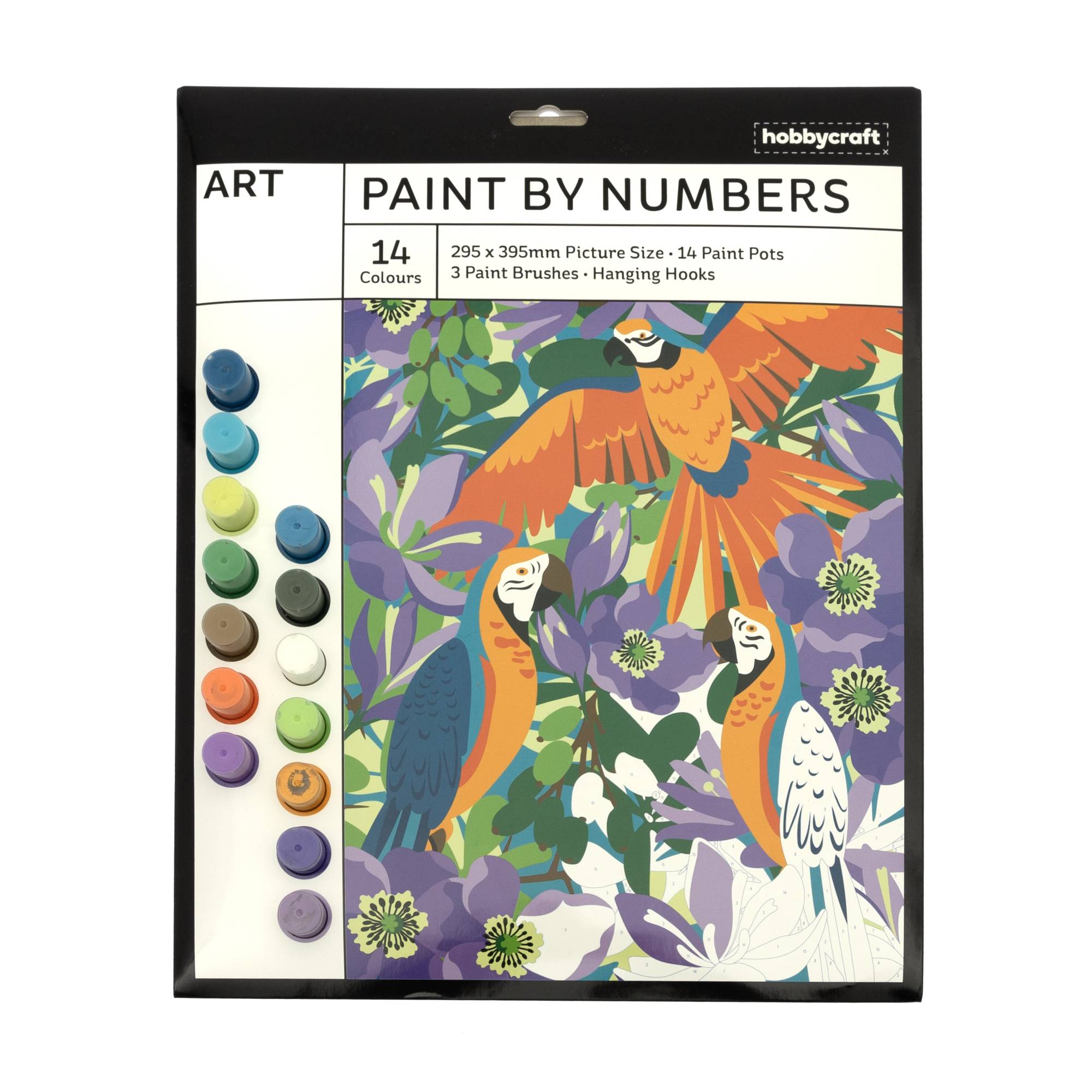 Exotic Birds Paint by Numbers