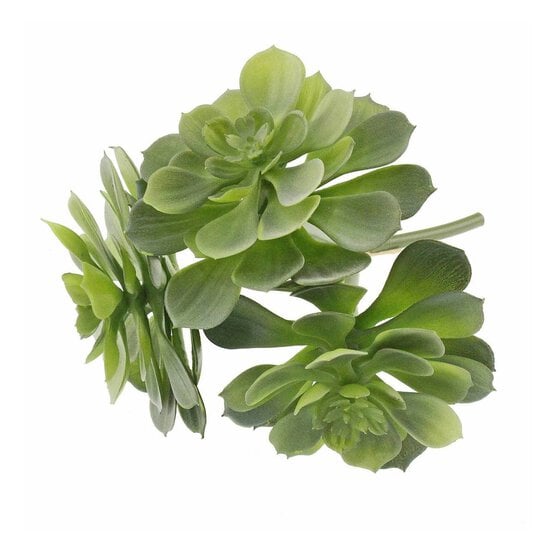 Green Echeveria Bundle 3 Pieces