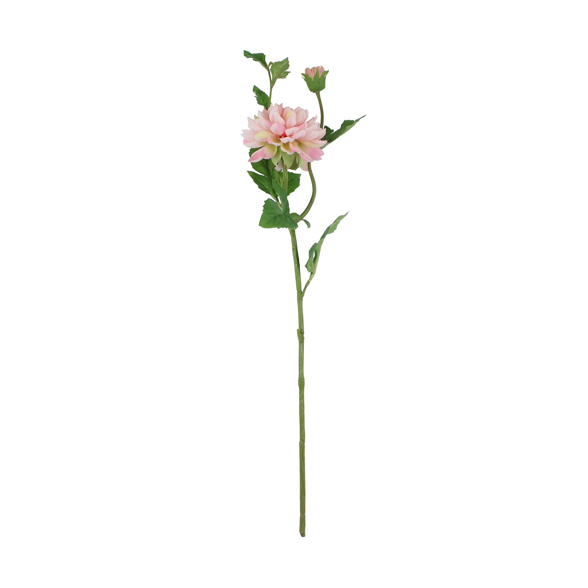 Light Pink Tintagel Dahlia Spray 69cm x 15cm