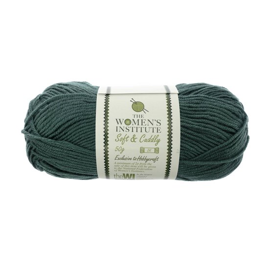 Women's Institute Sea Green Soft and Cuddly DK Yarn 50g