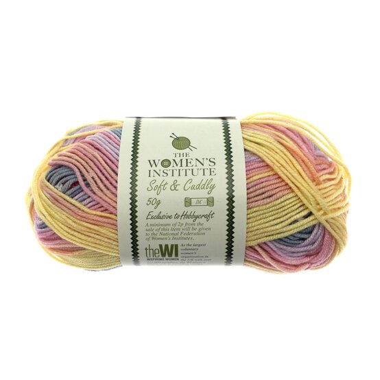 Women's Institute Bright Multi Soft and Cuddly DK Yarn 50g