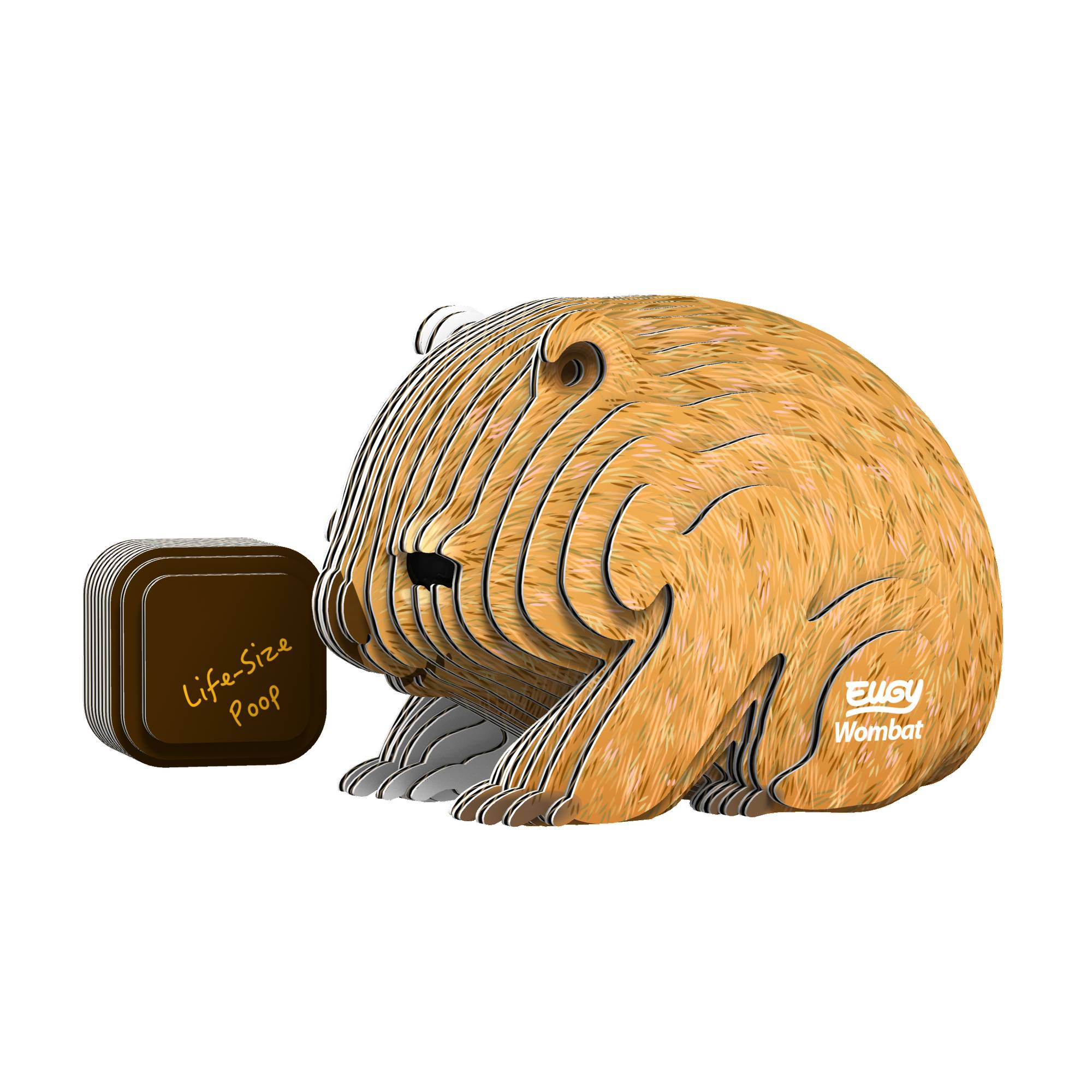 Eugy 3D Wombat Model