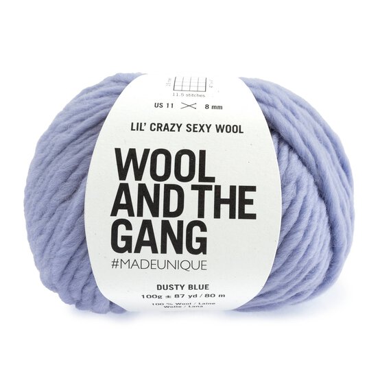 Wool and the Gang Dusty Blue Lil’ Crazy Sexy Wool 100g