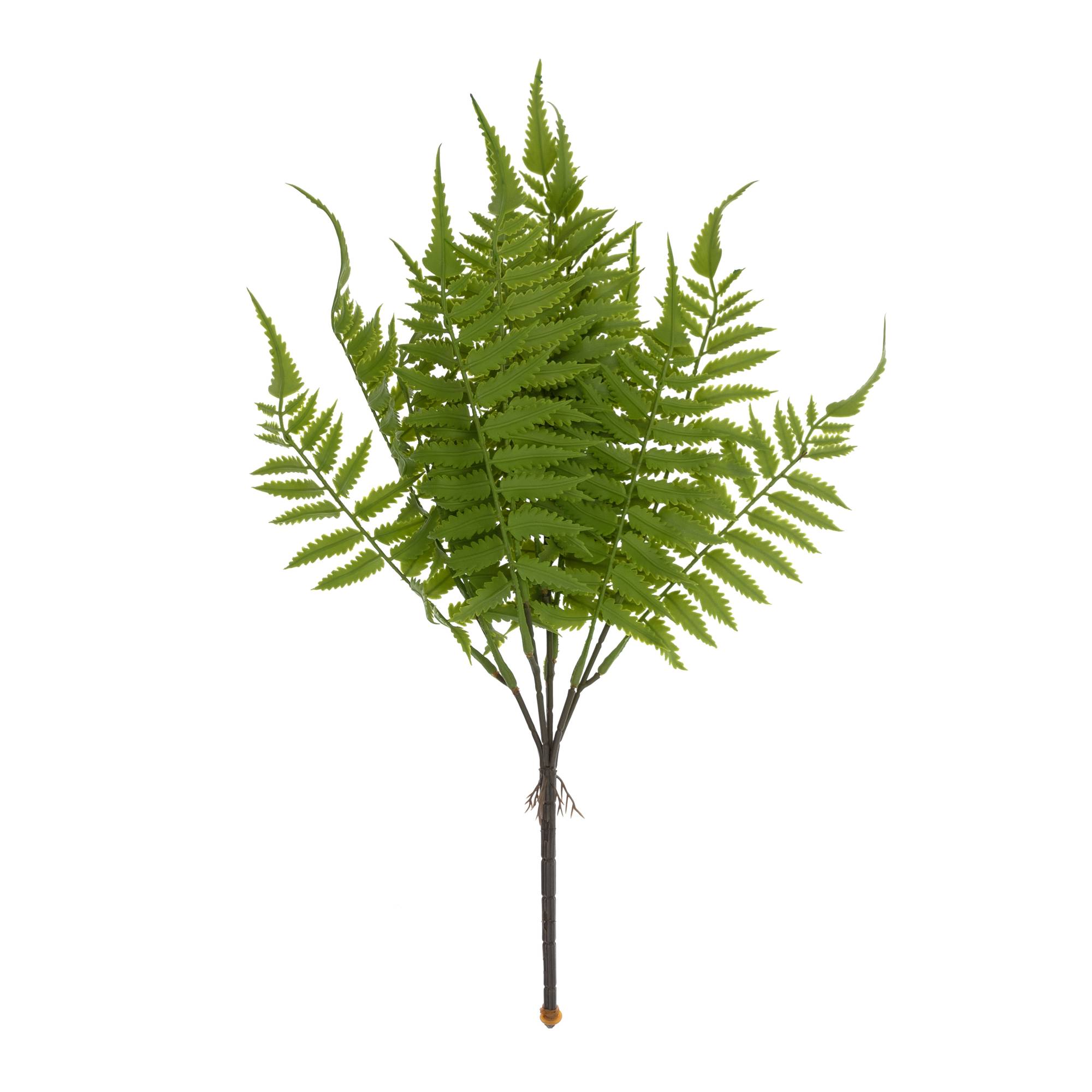 Green Sword Fern 43cm