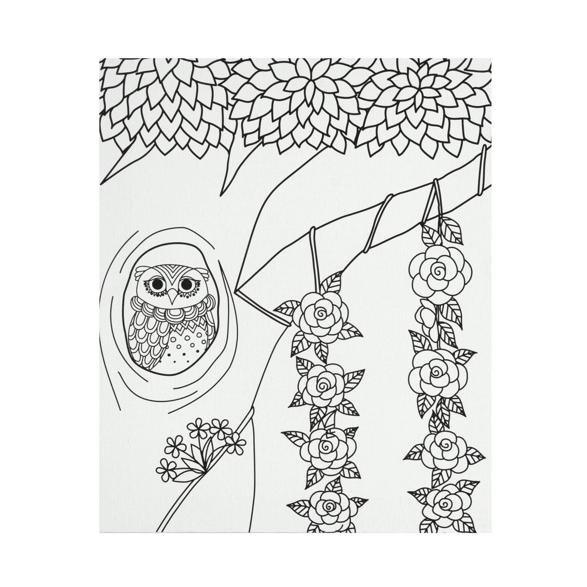 Owl Colour-in Canvas