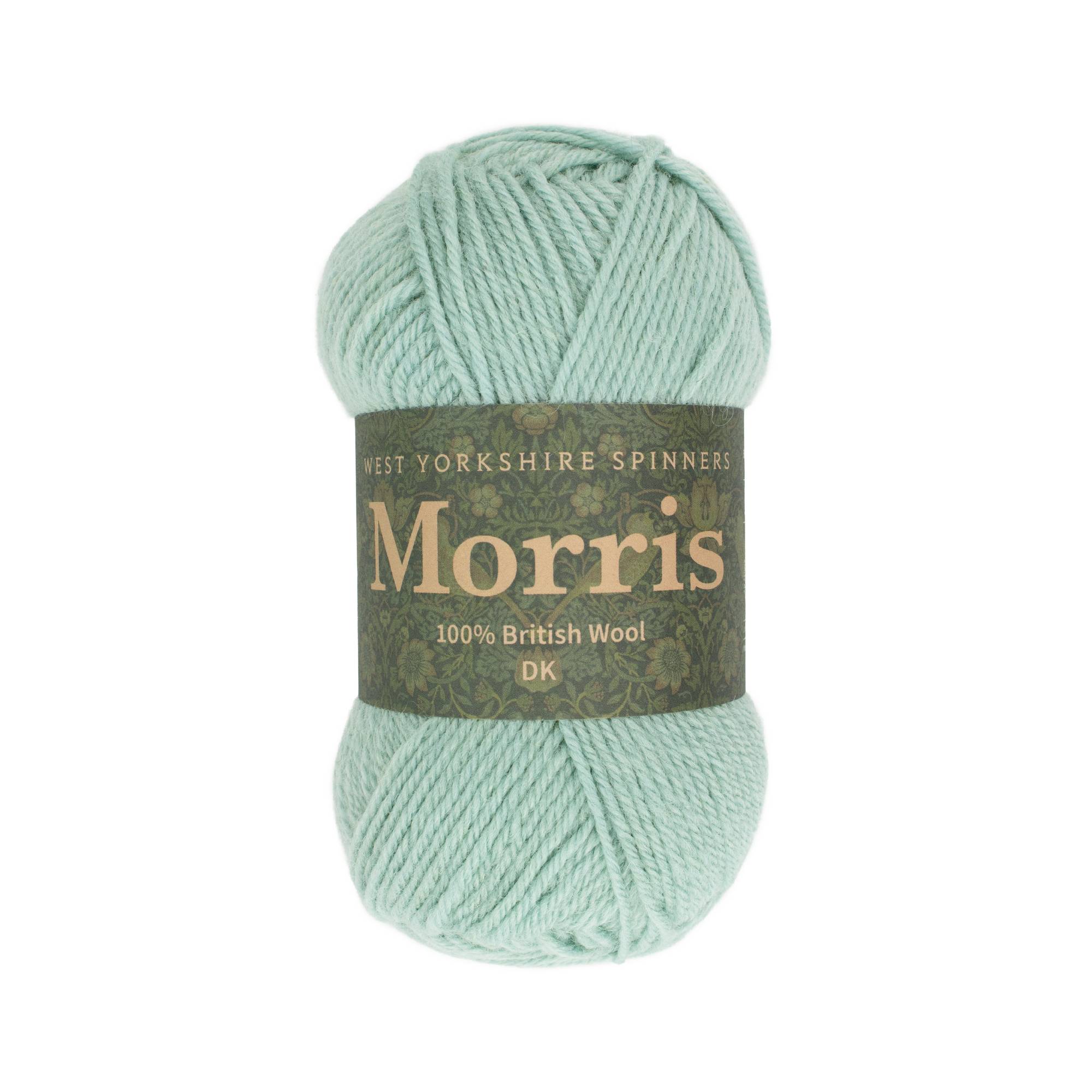 West Yorkshire Spinners Mint Morris DK 50g