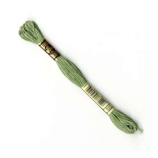 DMC Green Mouline Special 25 Cotton Thread 8m (522)