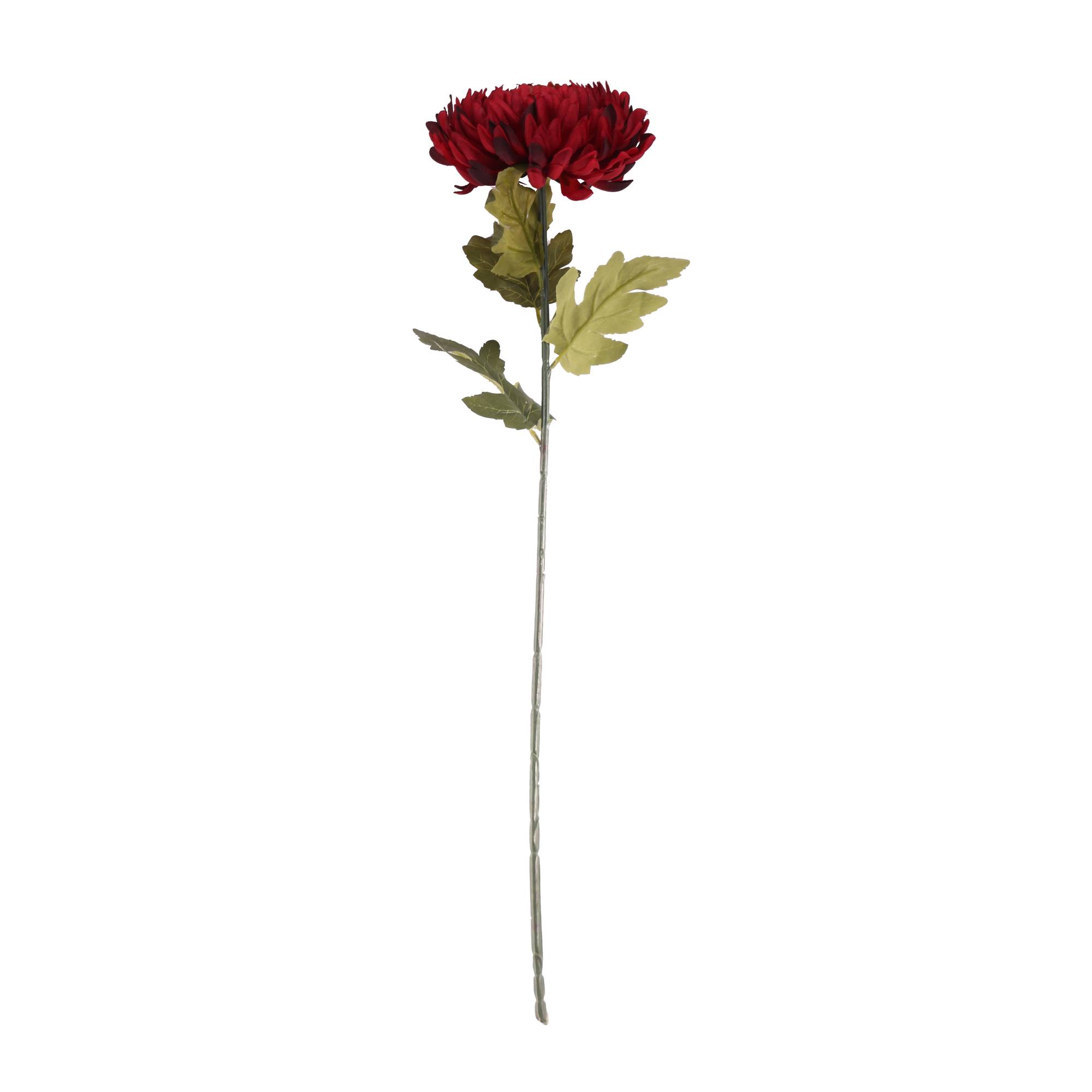 Orange Chrysanthemum 78cm x 20cm