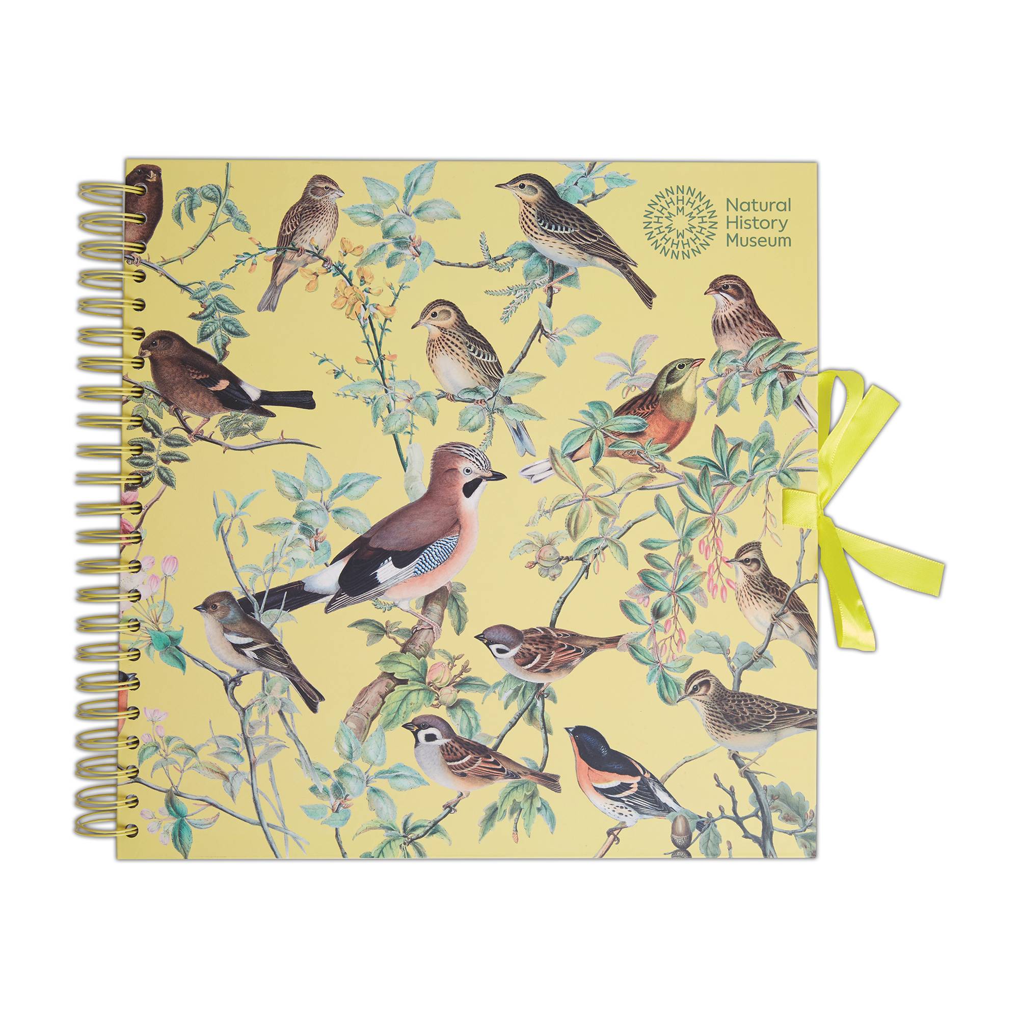 Natural History Museum Flock Scrapbook 12 x 12 Inches