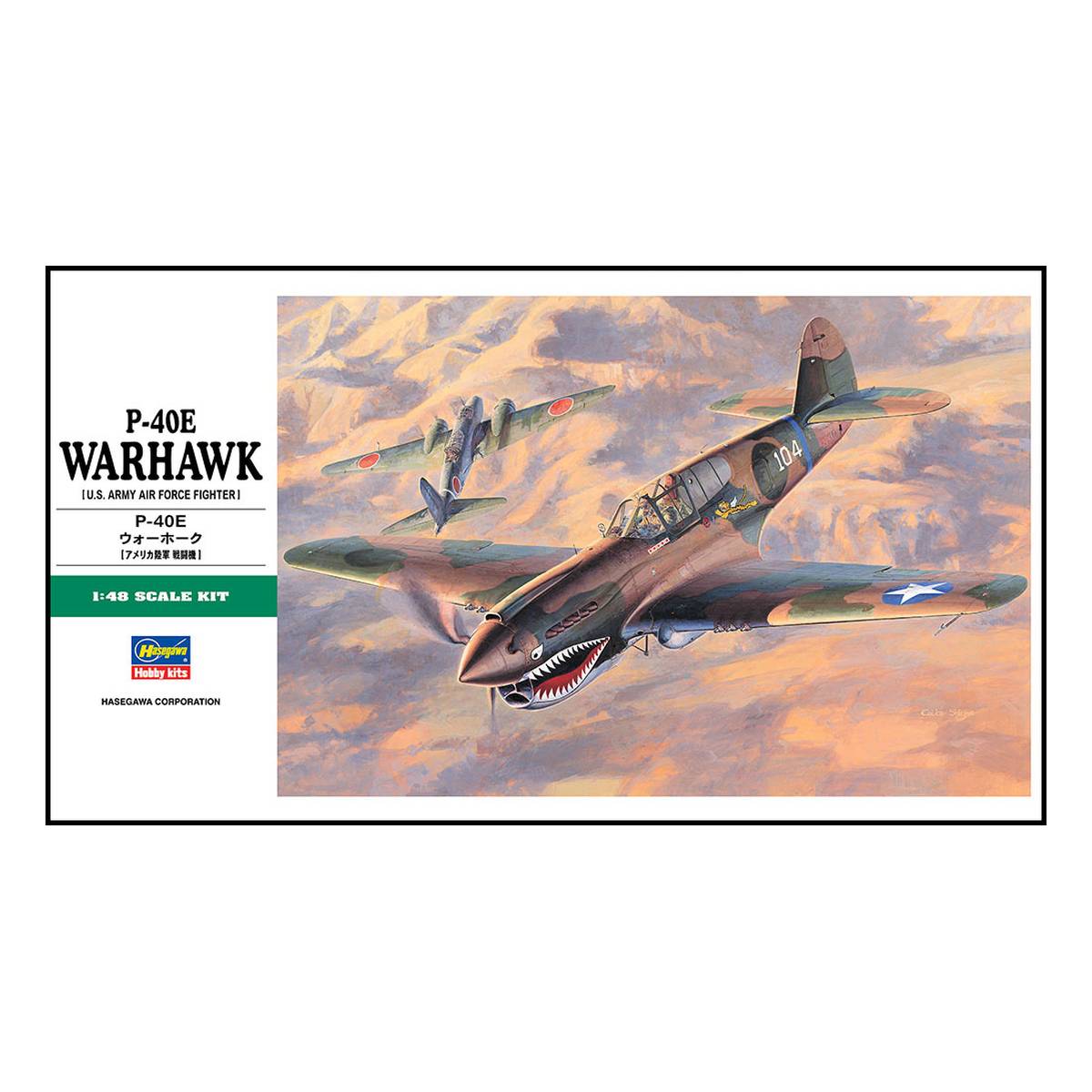 Hasegawa P-40E Warhawk Model Kit 1:48