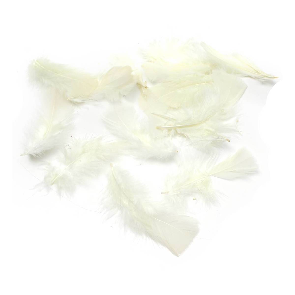 Ivory Craft Feathers 5g