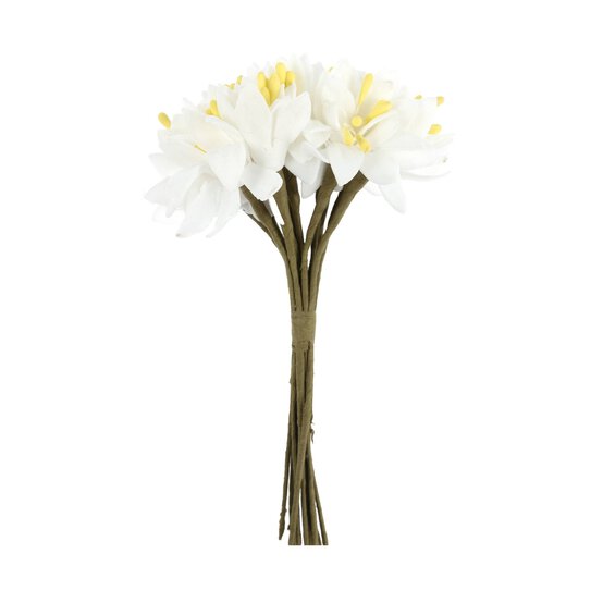 White Sun Daisies 12 Pack