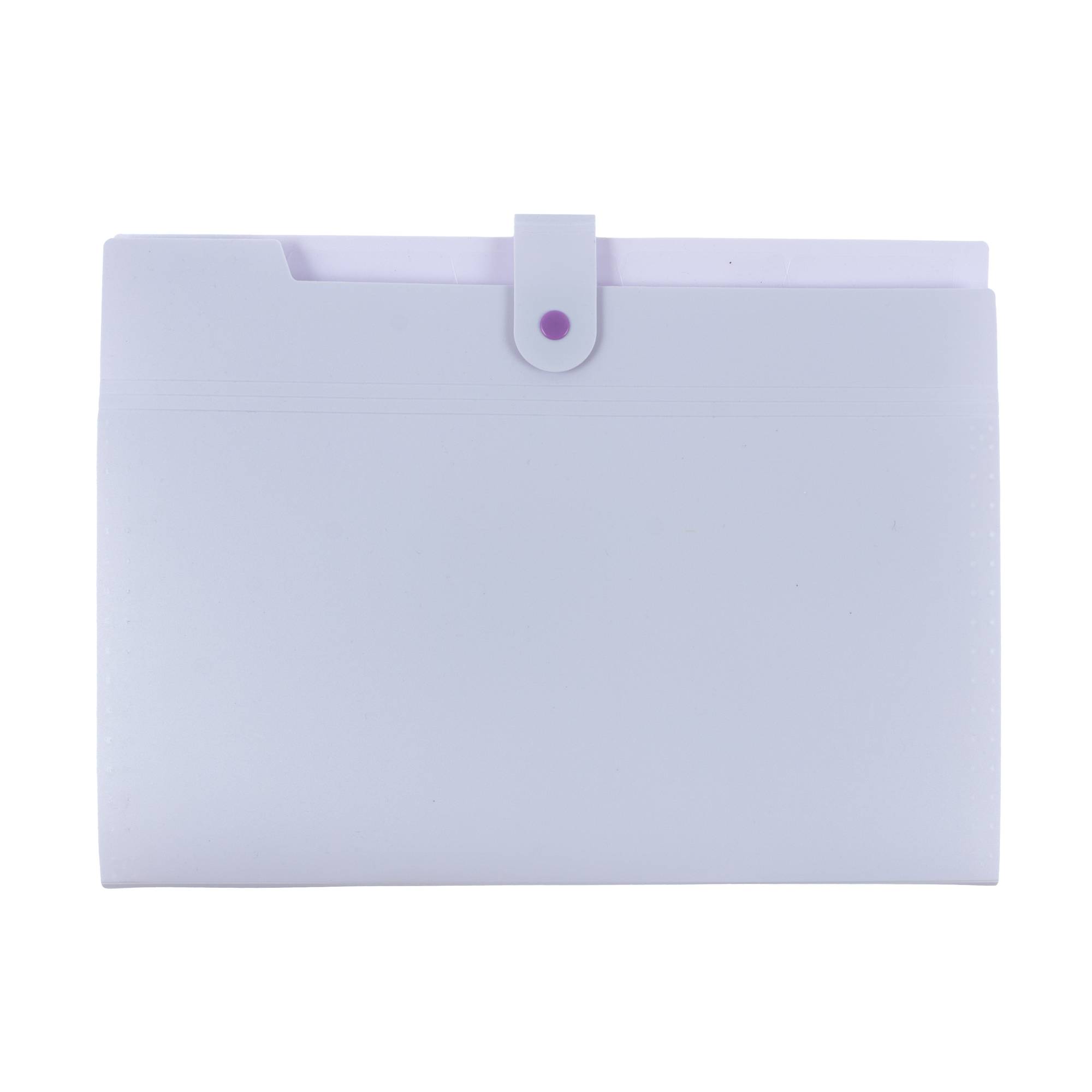 Purple Expanding File