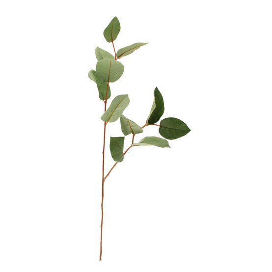 Salal Leaf Spray 83cm x 15cm